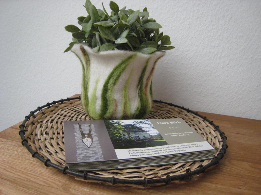 Apartamento Harz Blick Braunlage Exterior foto