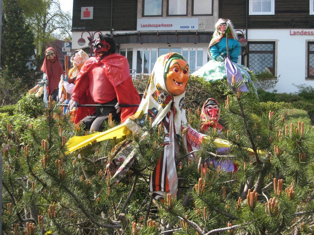 Apartamento Harz Blick Braunlage Exterior foto
